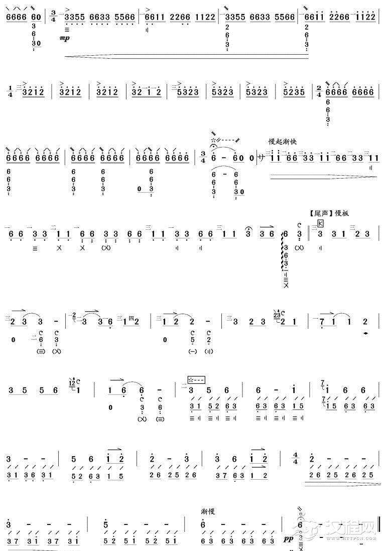 火把节之夜(琵琶谱)简谱