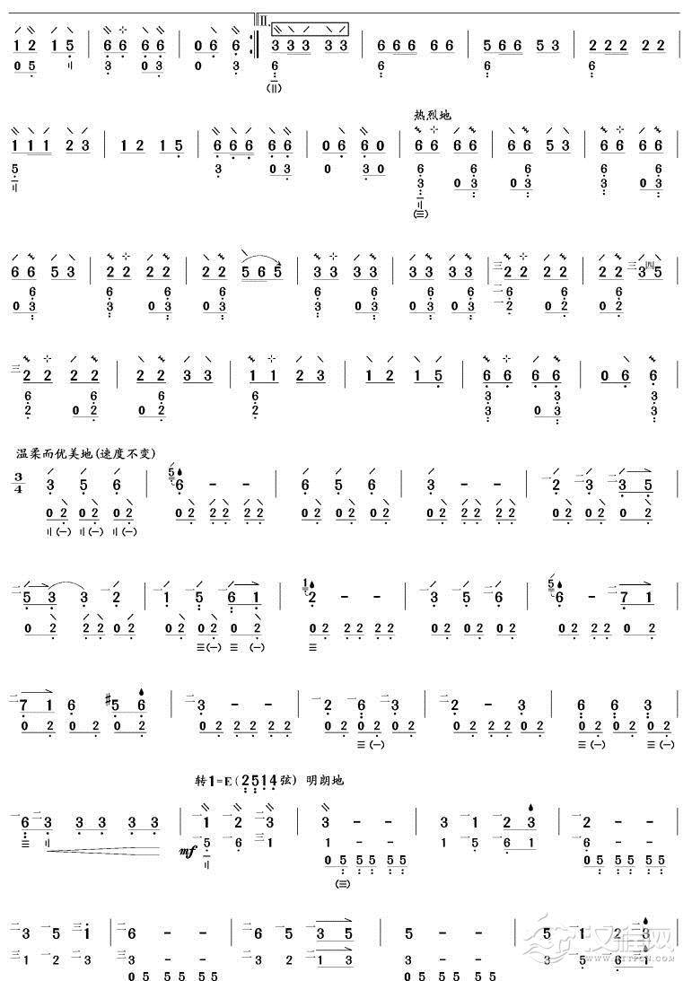 火把节之夜(琵琶谱)简谱