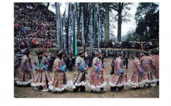 黔东南苗族百鸟衣服饰艺术