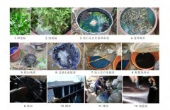 苗族服饰生成技艺研究:以融水杆洞乡为例