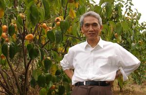 2019年特别推荐书画名家：覃绍殷