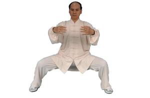 传统武术站桩学习——作用原理与方法