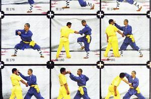 少林拳技法三十六式（下）