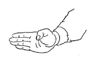 少林拳 一枝梅拳 基本功法（一）