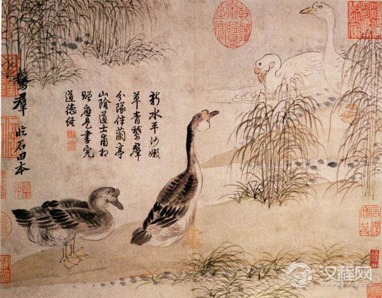 清 恽寿平 花鸟画 - 林中鸟 - 林中鸟 ★ 欢迎朋友光临