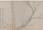 历代名家画梅：杨无咎、陈宪章、王冕、金农等