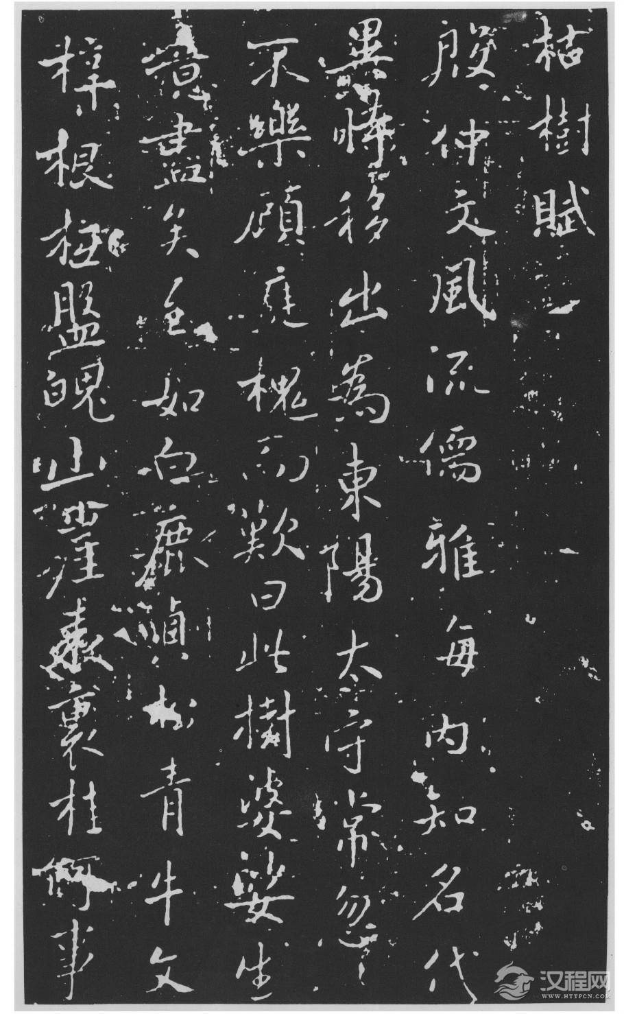 （隋唐）褚遂良---《枯树赋》