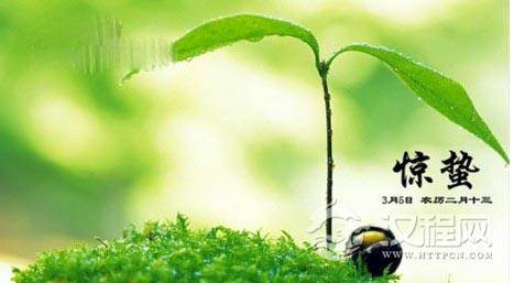 惊蛰——春天的开场白
