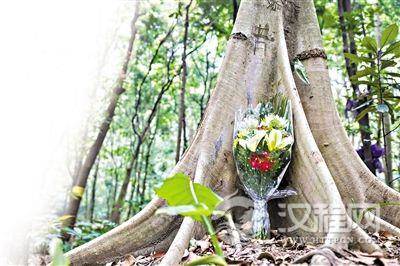 古代树葬历史以及各地习俗