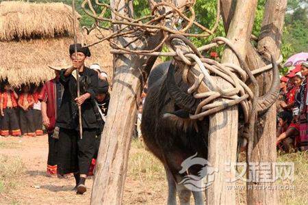 带你了解西盟佤文化之惊悚剽牛