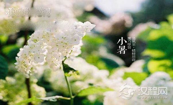 二十四节气之小暑