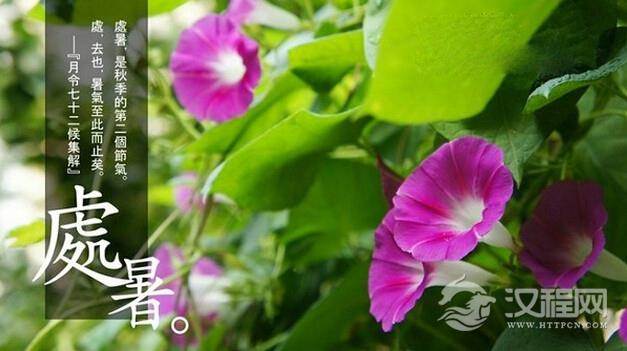 处暑：反映气温变化的一个节气