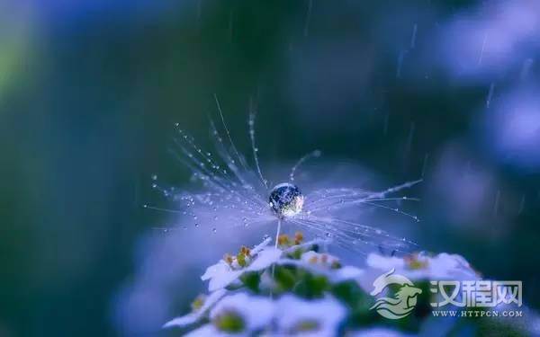 传统二十四节气之寒露的风情习俗