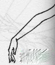 肘的训练：大三节