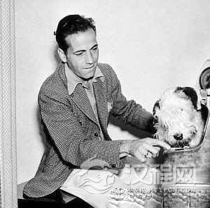 美国舞蹈著名演员——汉弗莱