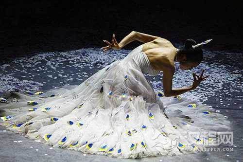 杨丽萍向大自然学习舞蹈