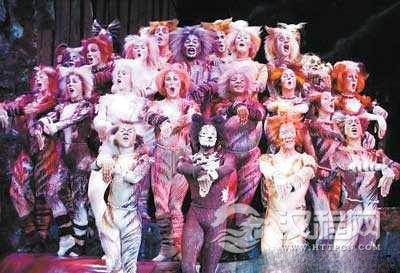 《猫》闭门魔鬼训练