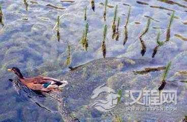 斯洛伐克新兵舞