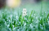 雨水节气吃什么食物