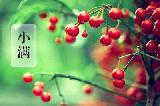 小满节气吃什么