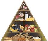 古代人的“膳食金字塔”