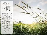 谷雨养生吃什么比较好