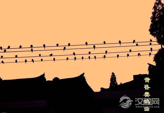 音乐知识奏鸣曲介绍