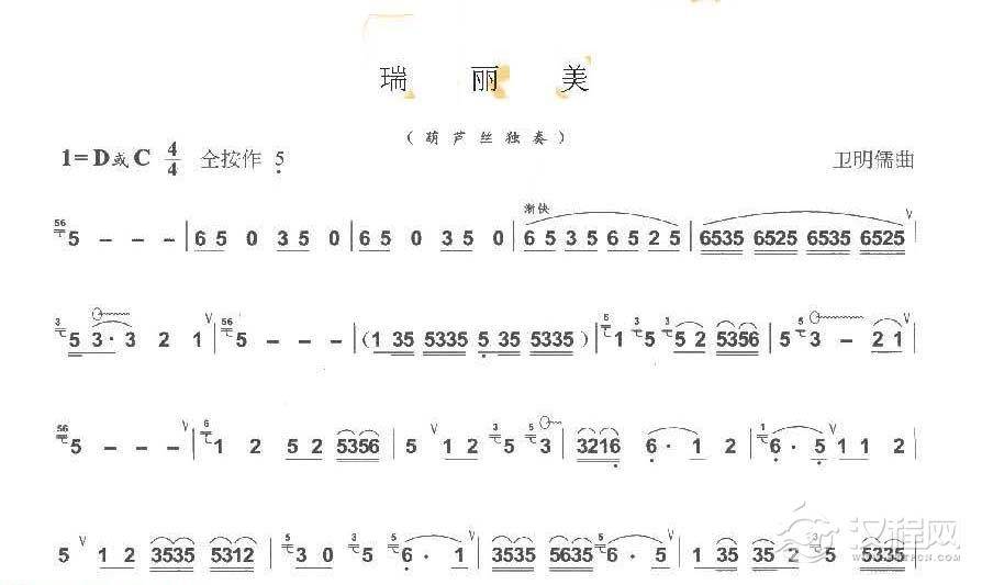 巴乌中高级乐曲《瑞丽美》卫明儒曲