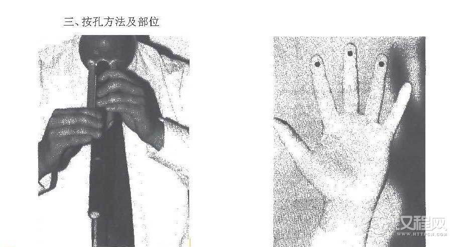 巴乌基础知识《巴乌按孔方法》