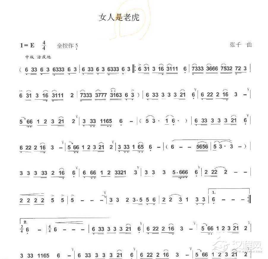 巴乌通俗乐曲《女人是老虎》张千一曲