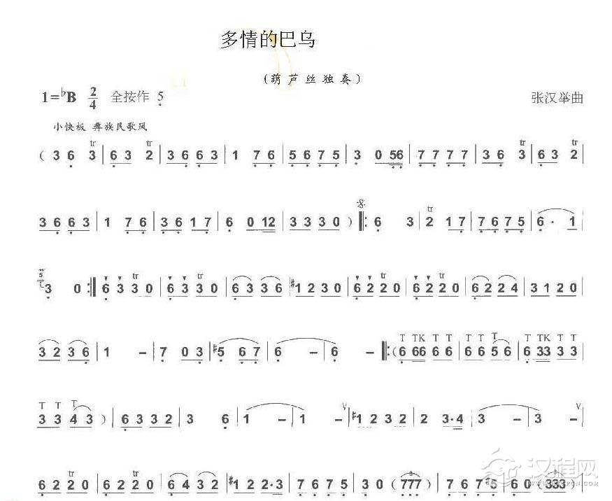 巴乌中高级乐曲《多情的巴乌》