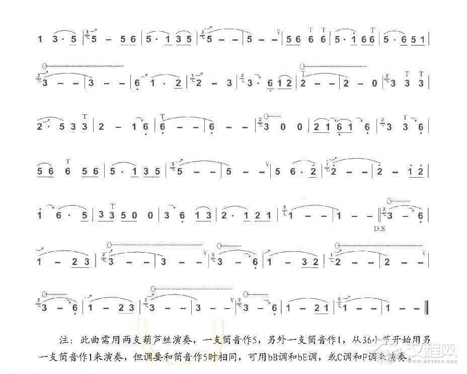 《月光下的凤尾竹/施光南曲》简单的巴乌乐曲