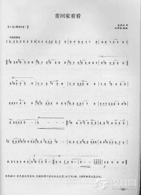 简单易学的竹笛独奏曲《常回家看看》戚建波 曲