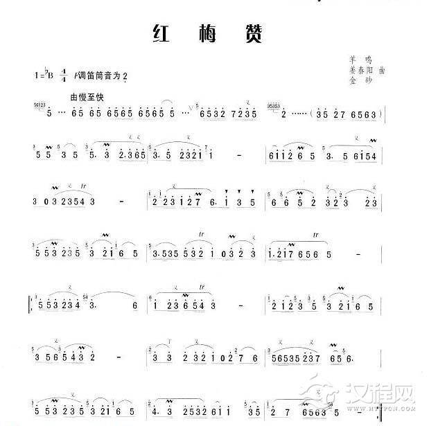 笛子流行金曲《红梅赞》民歌经典