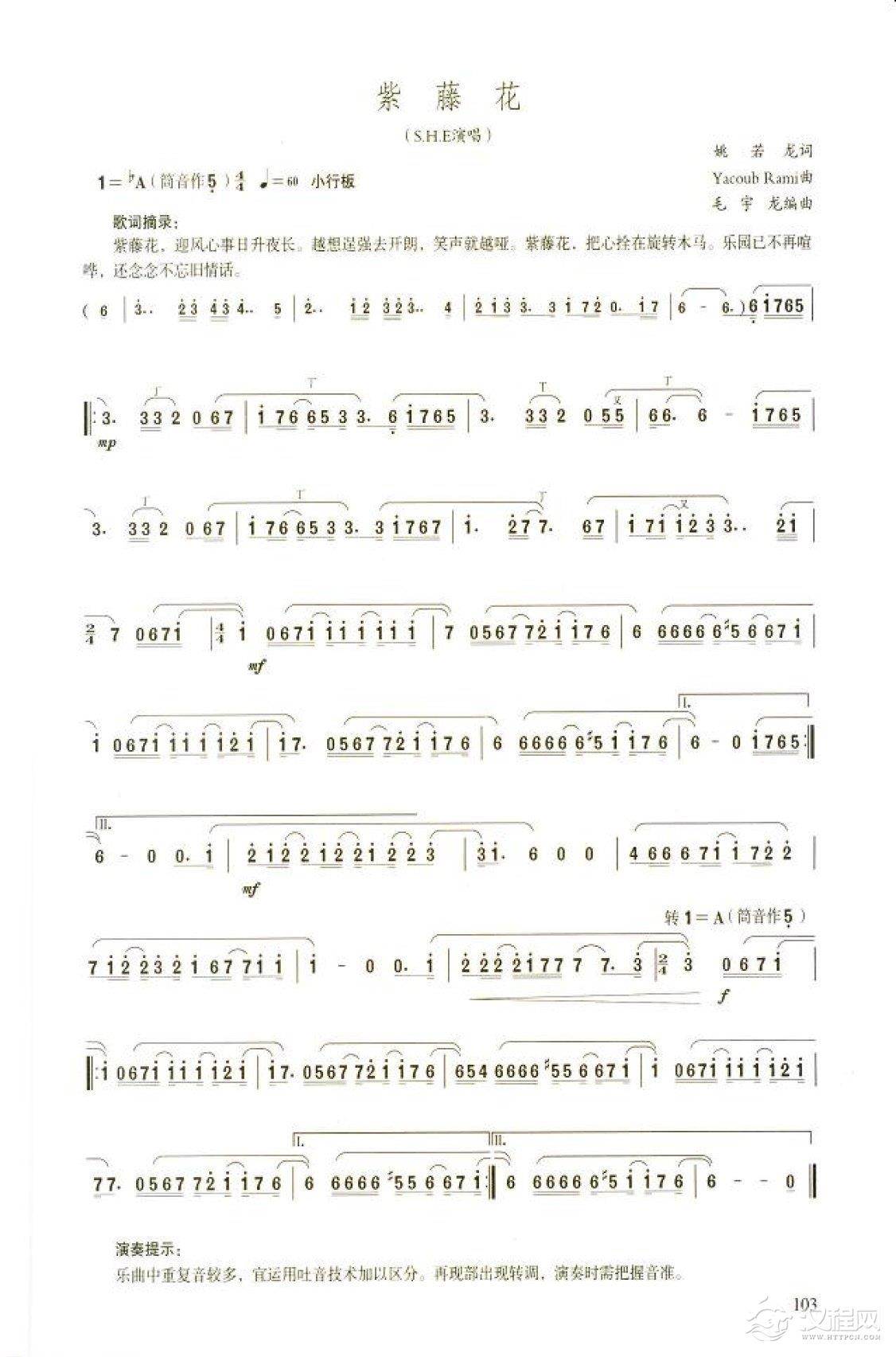 笛子流行金曲《紫藤花》高级独奏乐谱