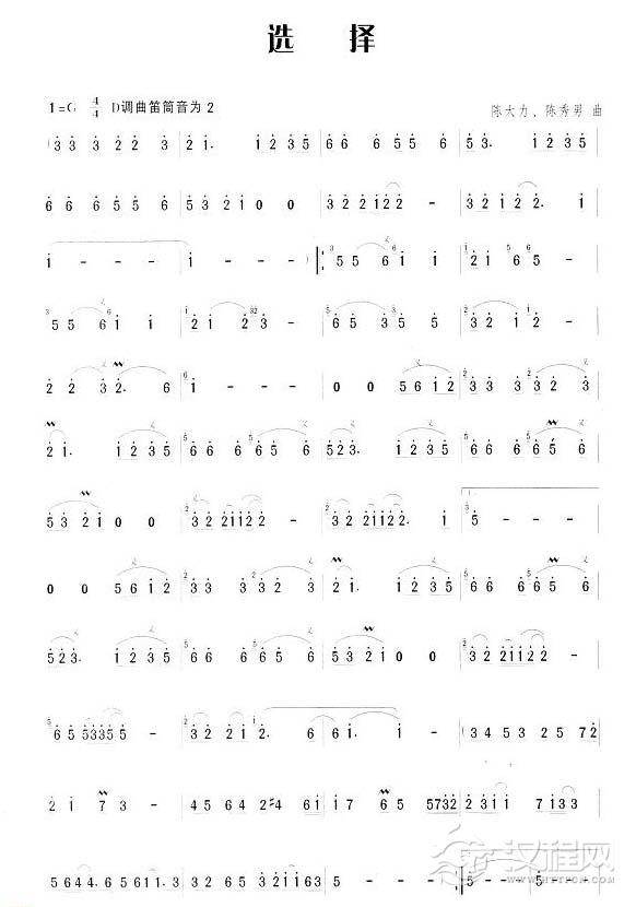 笛子流行金曲《选择》