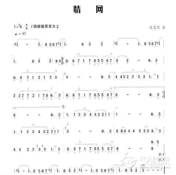笛子流行金曲《情网》