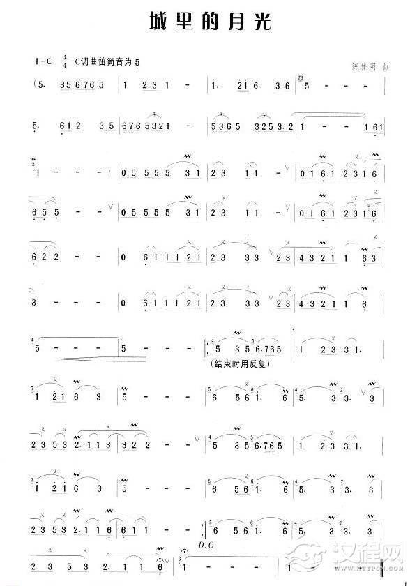 笛子流行金曲《城里的月光》