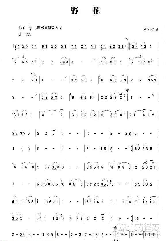 笛子流行金曲《野花》