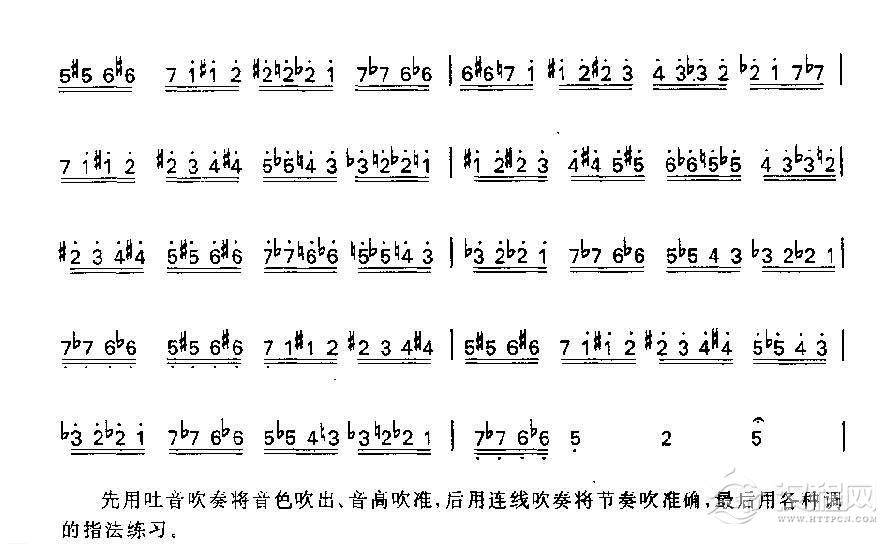 竹笛变化半音阶练习曲