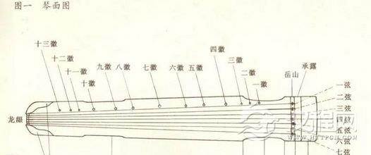 古琴各个部位的名称