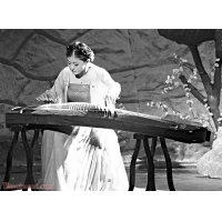 古筝名家：宁晓静个人资料简介及档案介绍附照片 