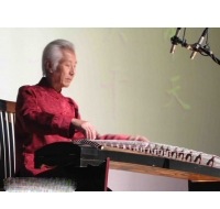 古筝名家：杨秀明个人资料简介及档案介绍附照片