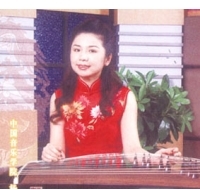 古筝名家：杨琳个人资料简介及档案介绍附照片 