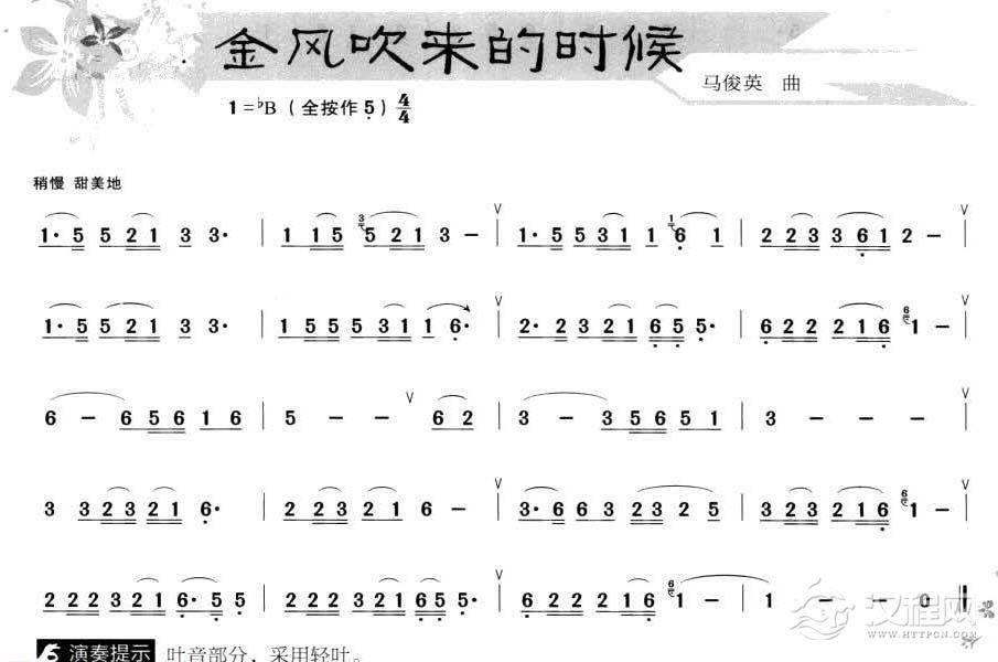 葫芦丝独奏乐曲【金风吹来的时候】