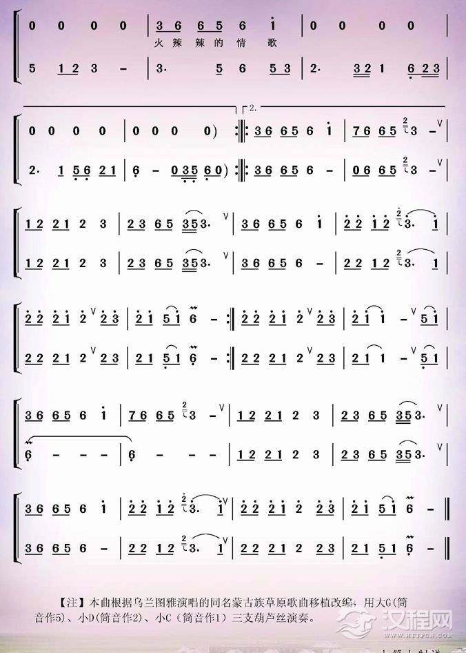 火辣辣的情歌（葫芦丝二重奏）