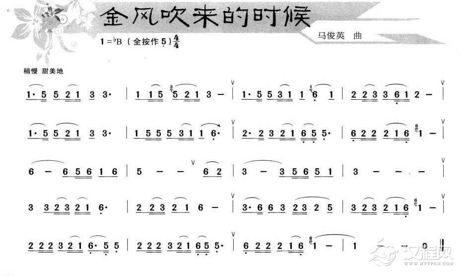 葫芦丝小乐曲【金风吹来的时候】