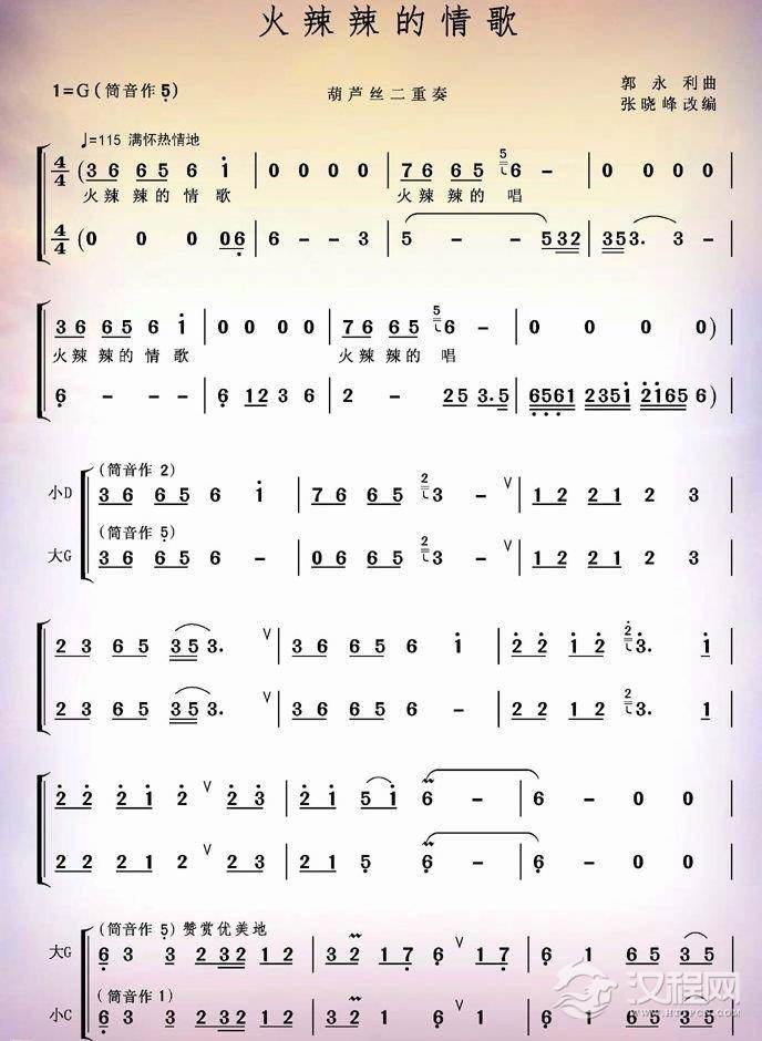 火辣辣的情歌（葫芦丝二重奏）