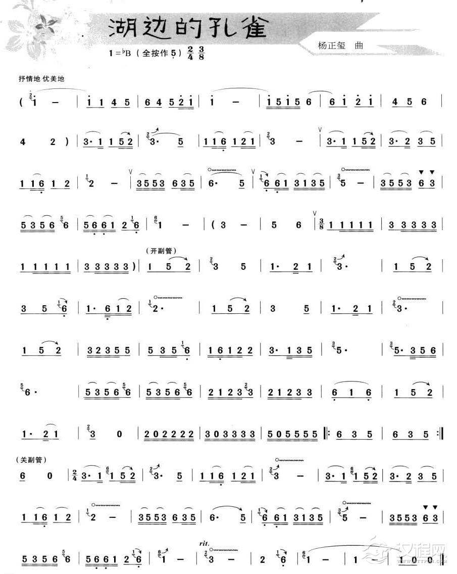 葫芦丝独奏乐曲【湖边的孔雀】