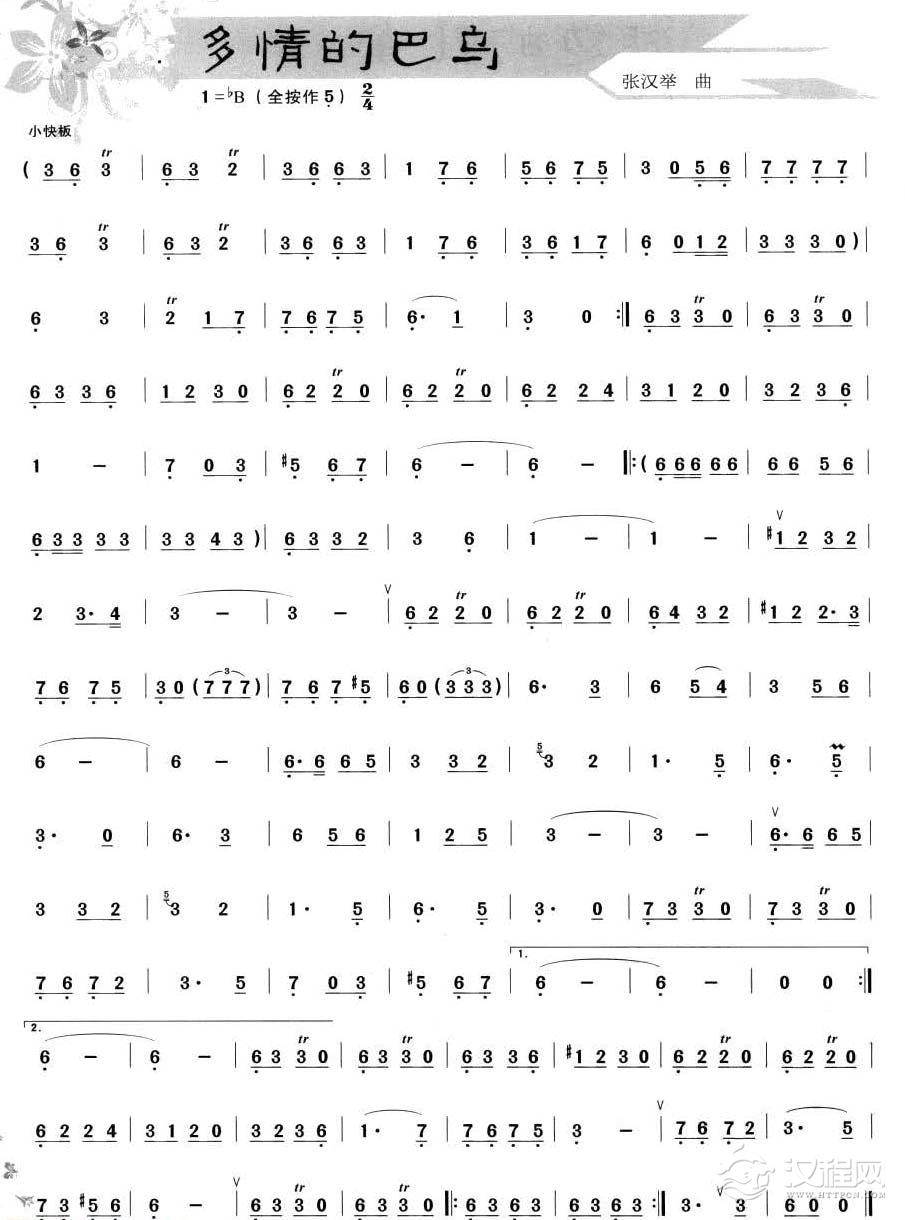 葫芦丝独奏乐曲【多情的巴乌】